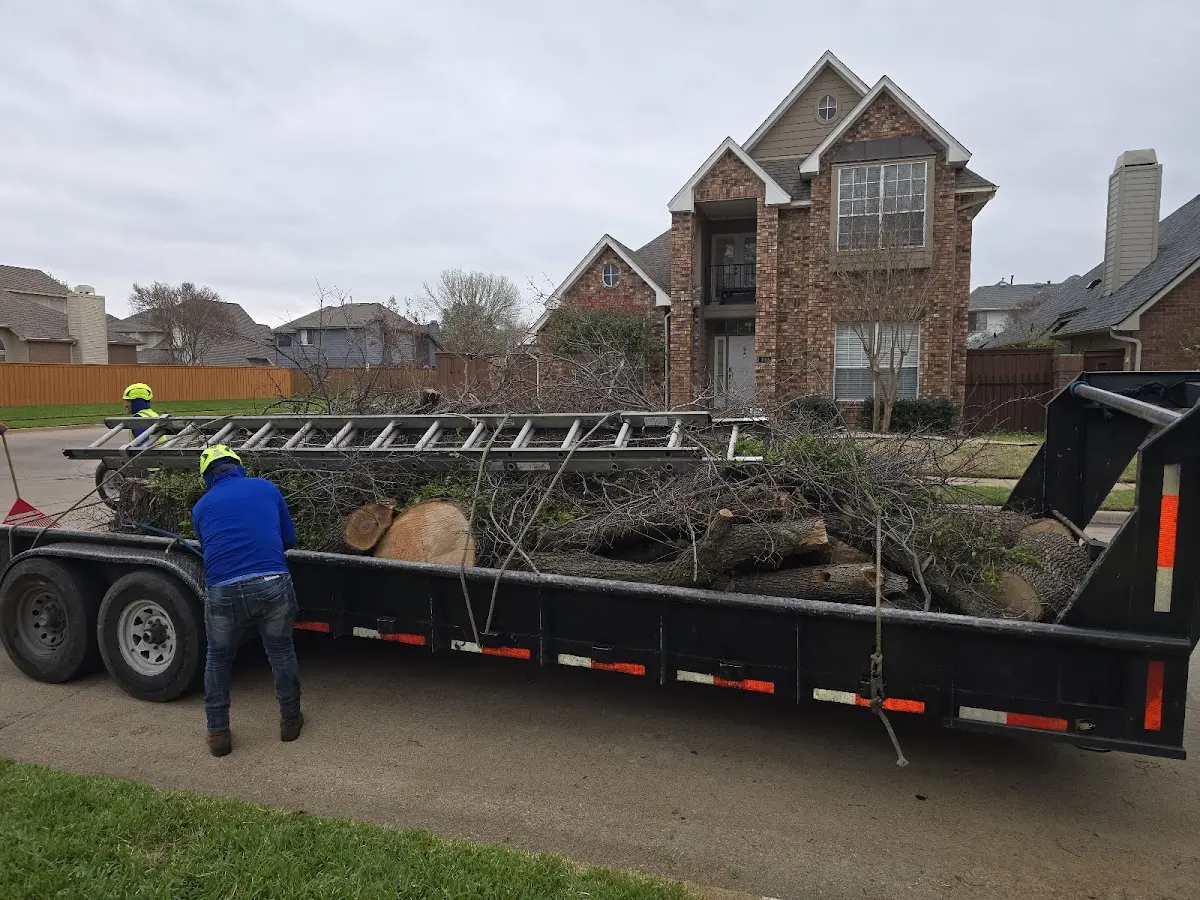 Expert Tree Removal with proper safety equipment in Morris Plains